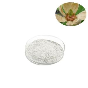 厚朴提取物-厚朴总酚90%-97% 产品图片