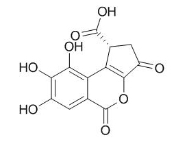 短叶苏木酚酸 CAS：18490-95-4供应