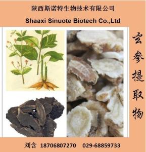 玄参粉 玄参提取物 玄参浸膏