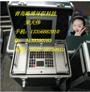  双帕尔贴制冷的紫外烟气分析仪LB-3040-B大型生产