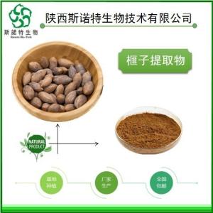 榧子粉 榧子提取物  榧子浸膏  药食同源