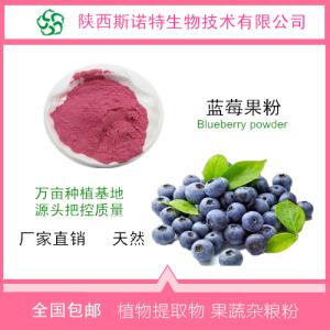 蓝莓酵素粉 蓝莓粉 蓝莓提取物  