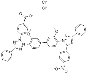 氯化硝基四氮唑蓝，CAS号：298-83-9现货直销产品