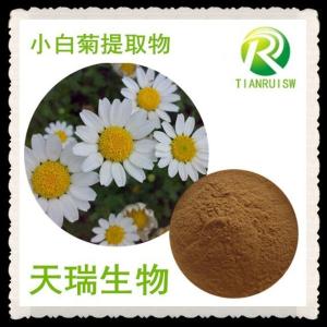 小白菊提取物 小白菊內(nèi)酯0.8% 現(xiàn)貨