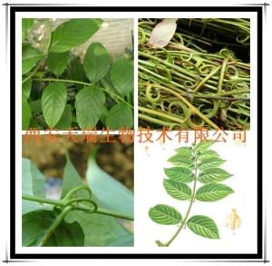鉤藤浸膏粉 鉤藤提取物粉 可定制鉤藤浸膏 提取液