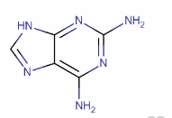 2,6-二氨基嘌呤 CAS号：1904-98-9  现货优势供应 科研产品
