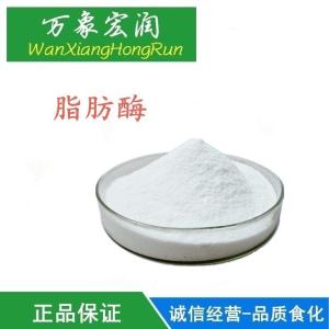 脂肪酶脂肪抑制酶提高食品风味改良品质作用价格