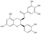 表儿茶素490-46-0