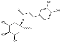 1-咖啡酰奎宁酸1241-87-8供应商