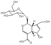 去乙酰基车叶草苷酸14259-55-3供应商