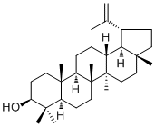 羽扇豆醇545-47-1供应商