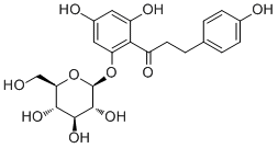 根皮苷60-81-1供应商