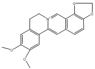 表小檗碱6873--9--2