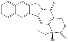 喜树碱说明书