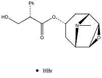 氢溴酸东莨菪碱114-49-8说明书