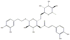 连翘酯苷A79916-77-1供应商