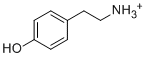 Tyramine hydrochloride60-19-5
