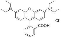 Rhodamine B81-88-9