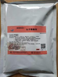 食品添加剂食品级肉弹素肉丸子馅料肉制品增脆弹保水弹力素