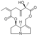 Seneciphylline480-81-9