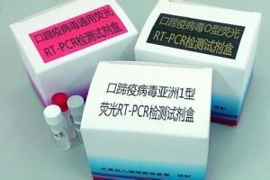 蛋白质羰基测试盒100管/48样 产品图片