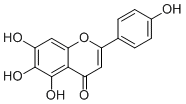 Scutellarein529-53-3