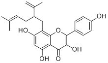 8-Lavandulylkaempferol883859-83-4