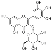 Myricetin 3-O-galactoside15648-86-9