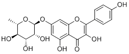 Kaempferol 7-O-rhamnoside20196-89-8