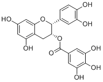 Epicatechin gallate1257-08-5