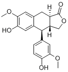 α-Conidendrin85699-62-3