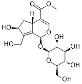 10-Hydroxymajoroside259753-12-3