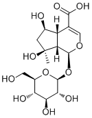Shanzhiside29836-27-9