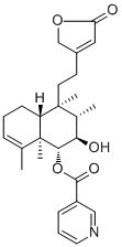 Scutebarbatine Z1312716-28-1