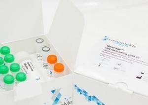 前列-腺特异性酸性磷酸酶（PSAP）抗体检测试剂盒