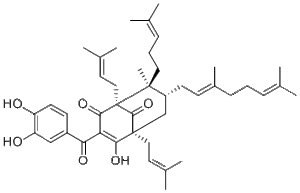 Guttiferone G666174-75-0