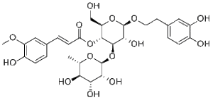 Leucosceptoside A83529-62-8