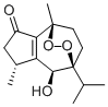 Isonardoperoxide205248-65-3