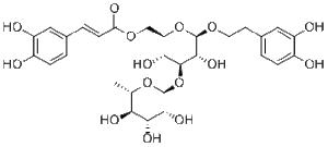 Isoacteoside61303-13-7