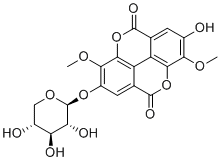 3-O-Methylducheside A62218-23-9