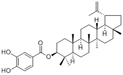 3,4-Dihydroxybenzoyllupeol2231323-99-0