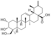 2α,3α,24-Trihydroxyursa -12,20(30)-dien-28-oic acid341503-22