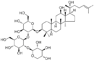 Notoginsenoside Ft1155683-00-4