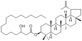 Lupeol 3-hydroxyoctadecanoate108885-61-6