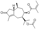 Torilin13018-10-5