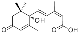 Abscisic acid21293-29-8