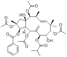 Jatrophane 4210108-88-6