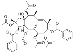 Yadanzioside K101559-98-2