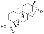 Isosteviol27975-19-5