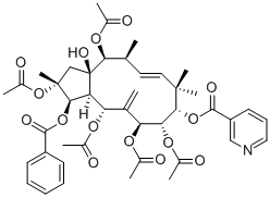 Jolkinolide E54494-34-7